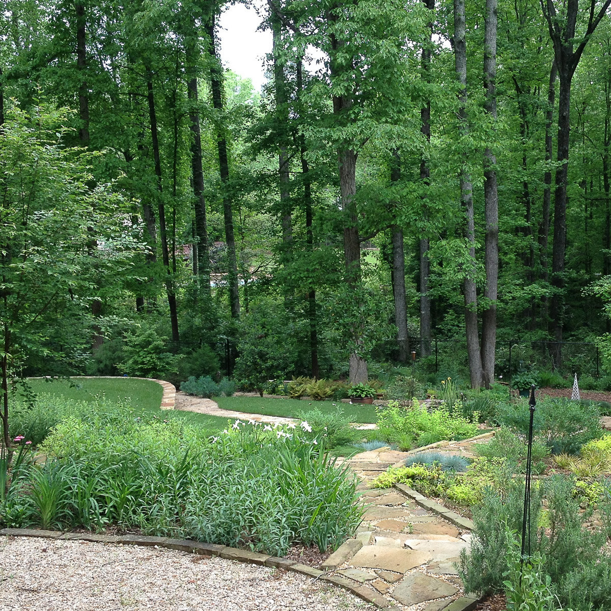 Day trips from phoenix skiing near phoenix top things to do free things to do things to do with kids be. The Piedmont Gardeners