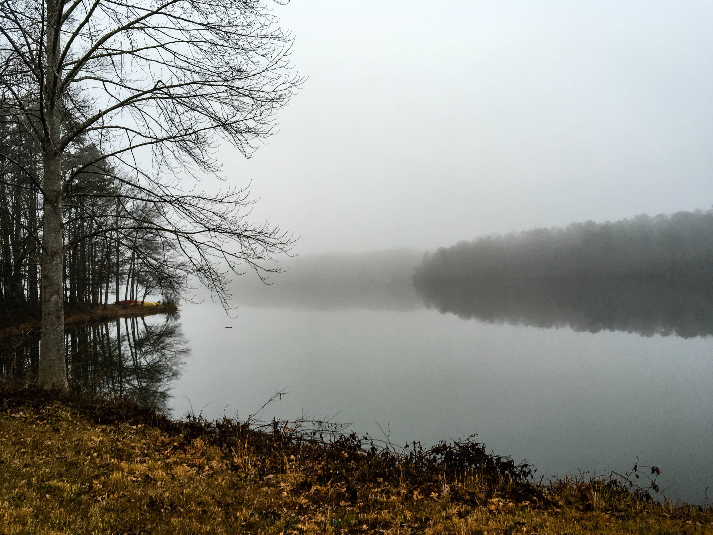 Browse a list of places to see in a day from gainesville. Day Trips Atlnature