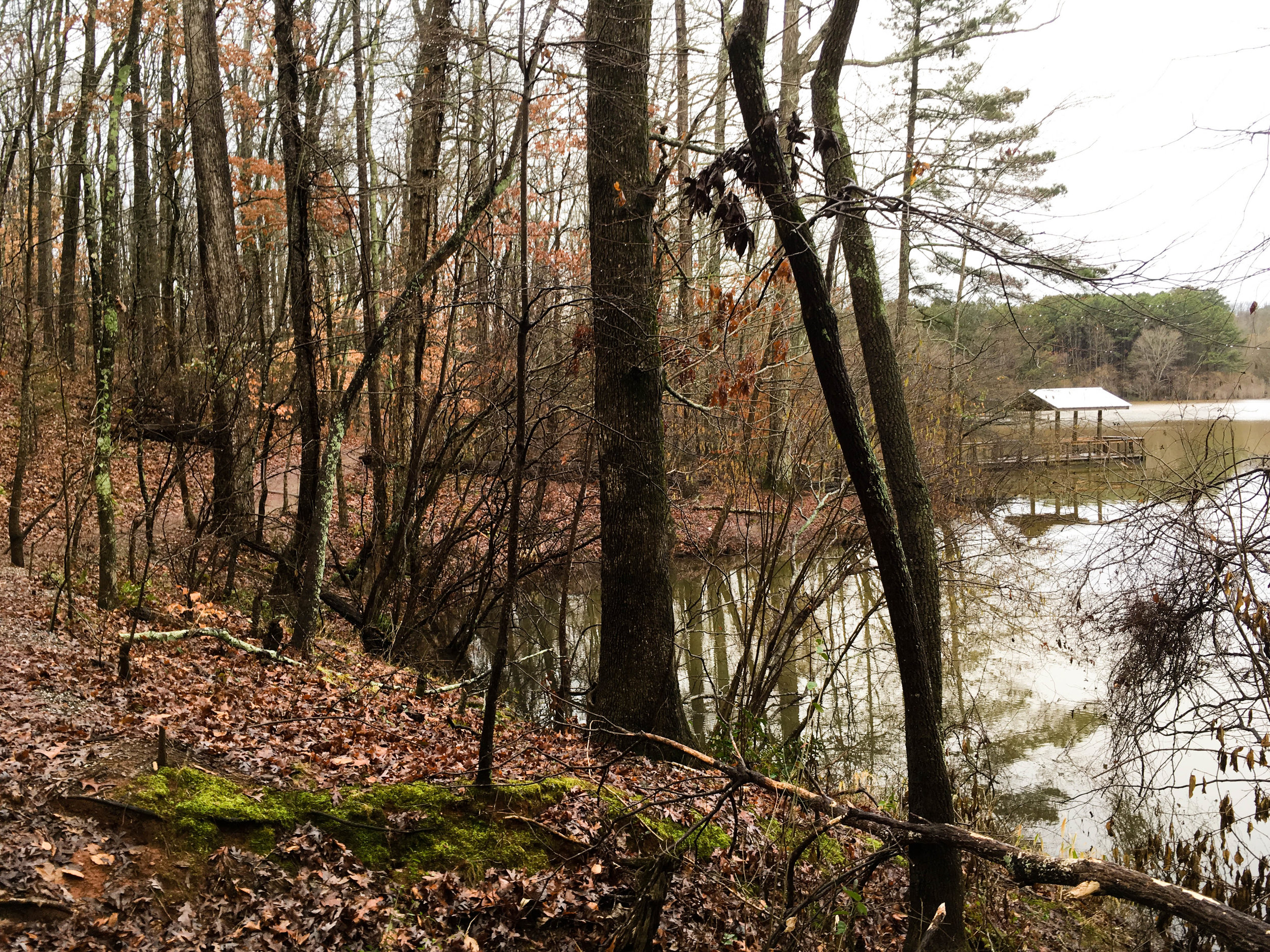 Picture Need some inspiration to plan fun weekend getaways in ga? Day Trips Atlnature