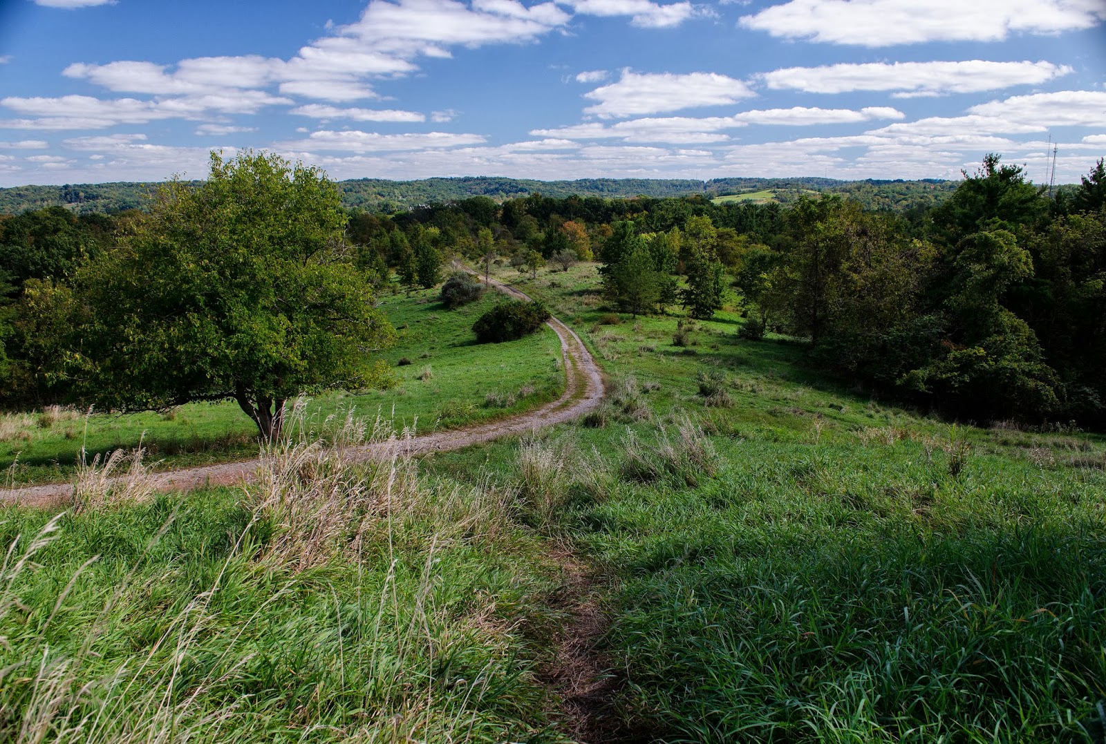 JPG Every summer in parts of europe, farmers and rancher. On The Subject Of Nature Radar Hill And The Ridges