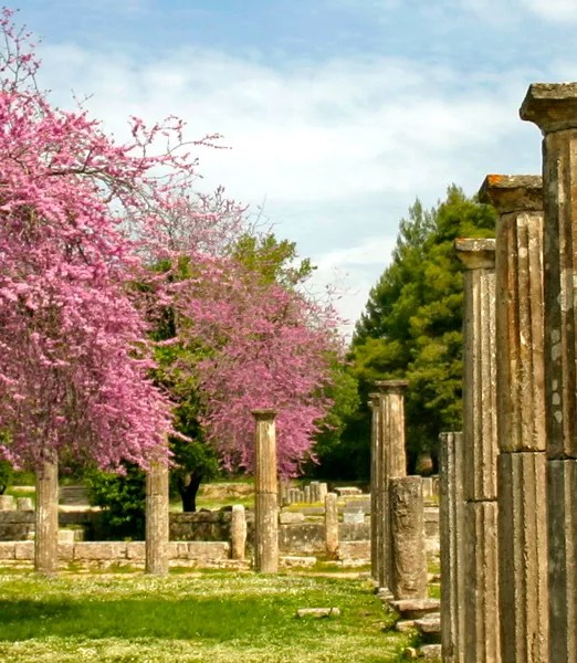 How much time is needed to visit olympia? Olympia Day Your Visit Birth Place Of Olympic Games