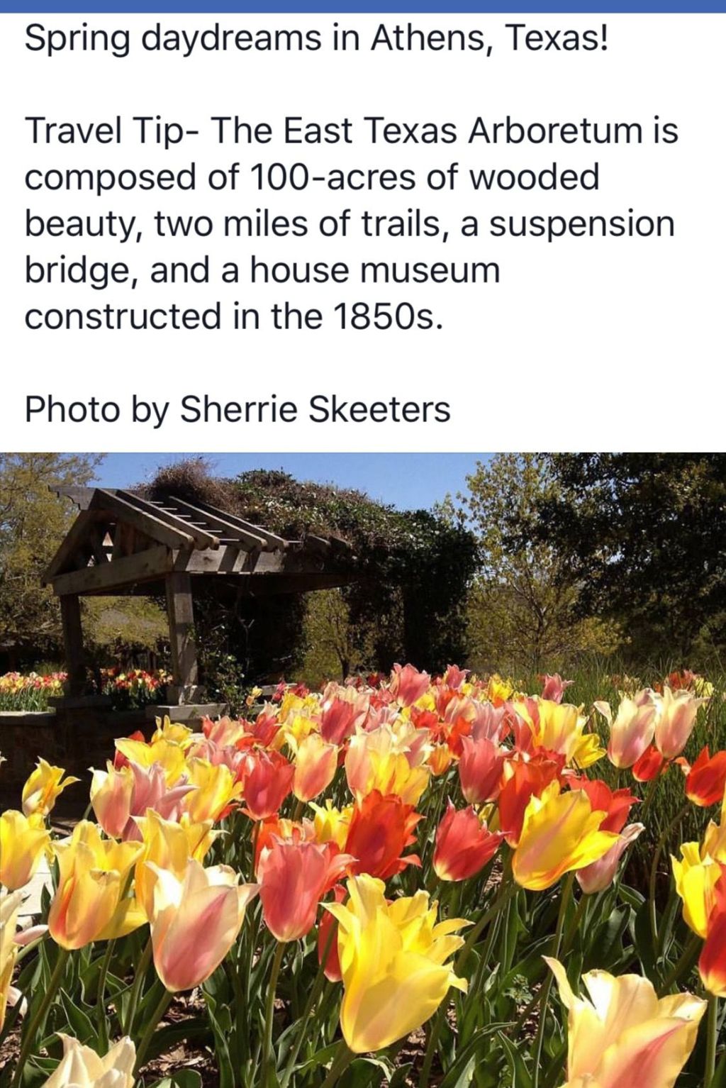 Best Athens Texas Tourist Attractions Package