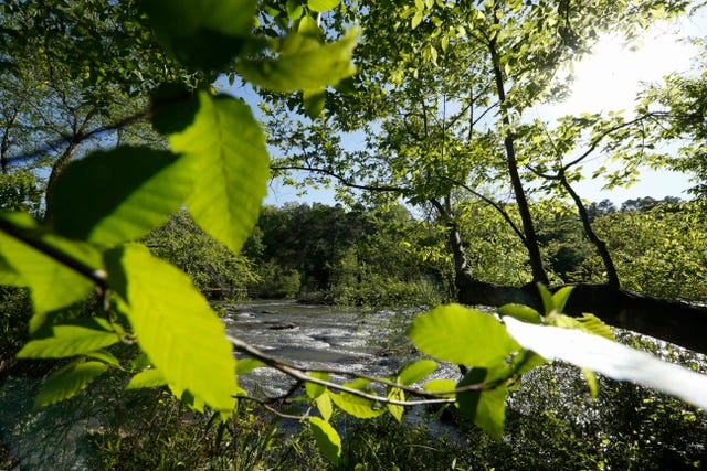 Exploring Walking Trails Near Athens&nbsp;Ga