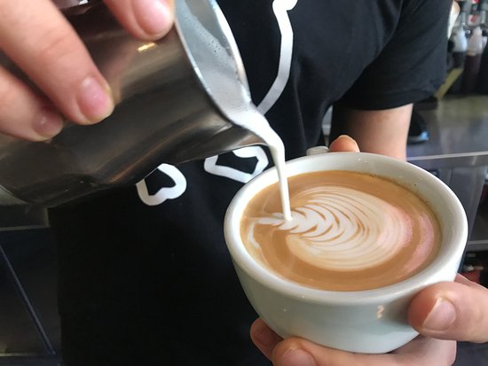 16+ Cafe Athens Trip Advisor