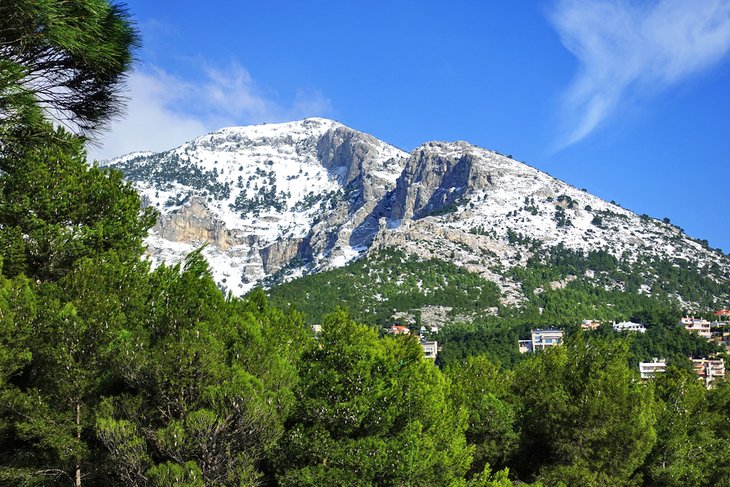 14+ Day Trips From Athens Ohio Packages