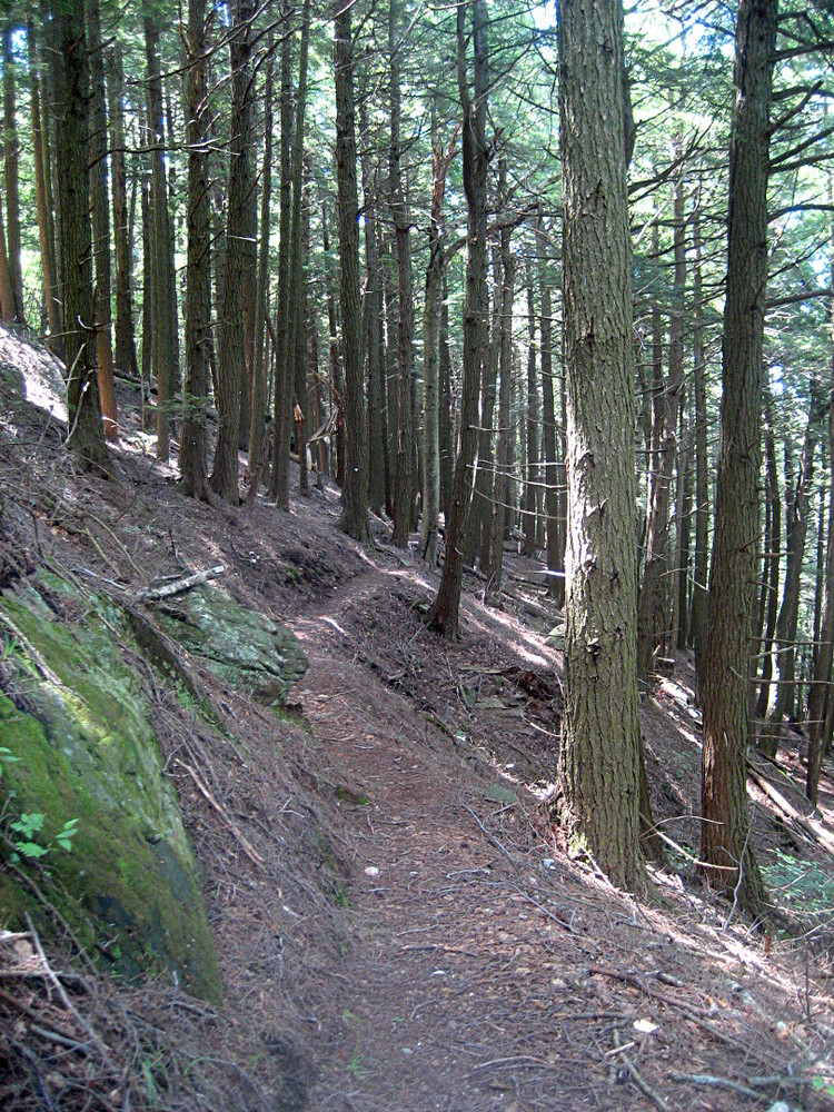 Athens Walking Trails&nbsp;Packages