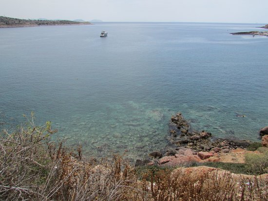 20+ Athens Trikke Tour